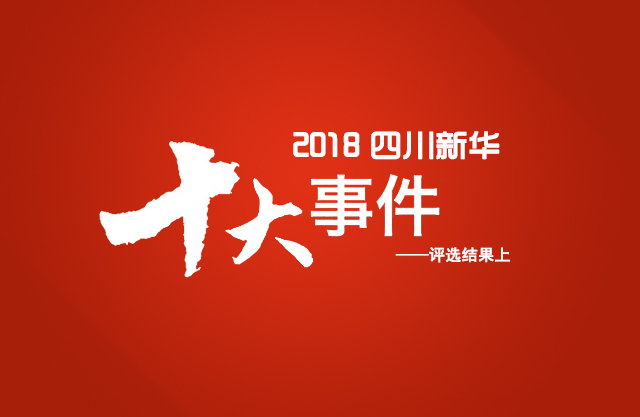 得利斯2017年喜讯连连，展望未来新篇章