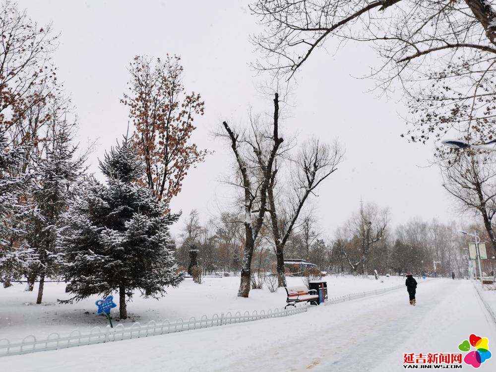 瑞雪兆丰年，瑞阳映照下的苹果喜讯连连