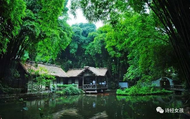 成都夏日雨韵，蓉城风光新画卷