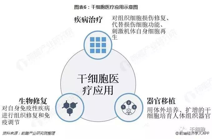 体育风云榜 第13页