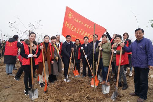 虞城湿地公园绽放新绿，喜看生态美景渐成画卷