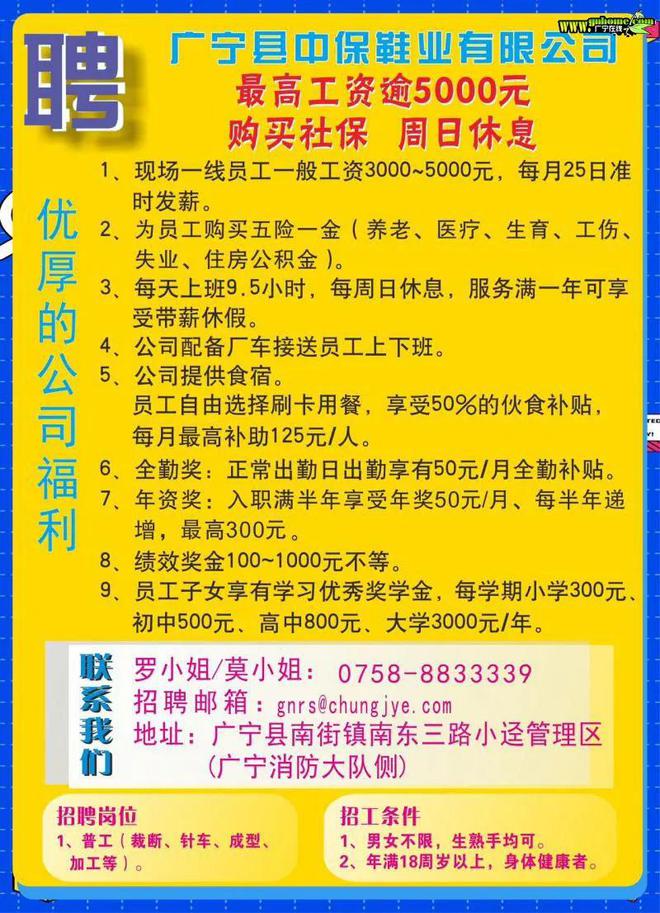 普宁求职信息速递