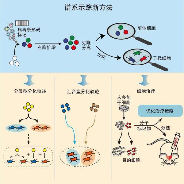 “帕金森症创新治疗技术解析”