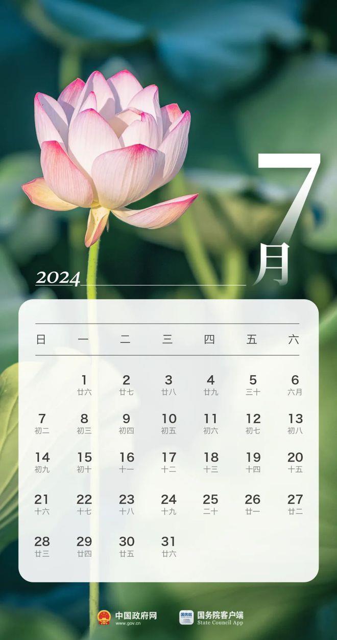 2024年度最新医院感染防控资讯