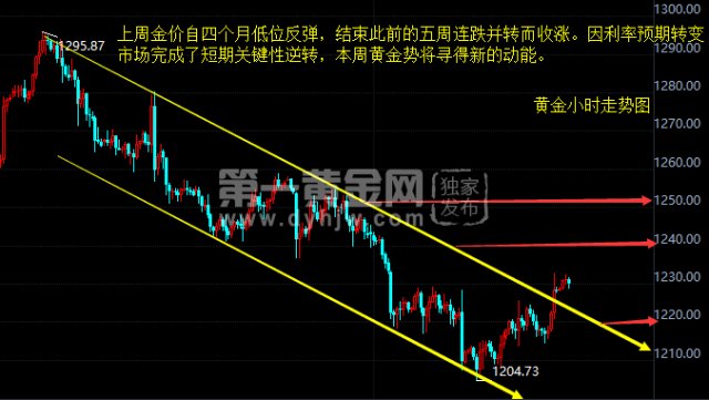 最新揭晓：河北省麻山药市场行情，价格走势一览