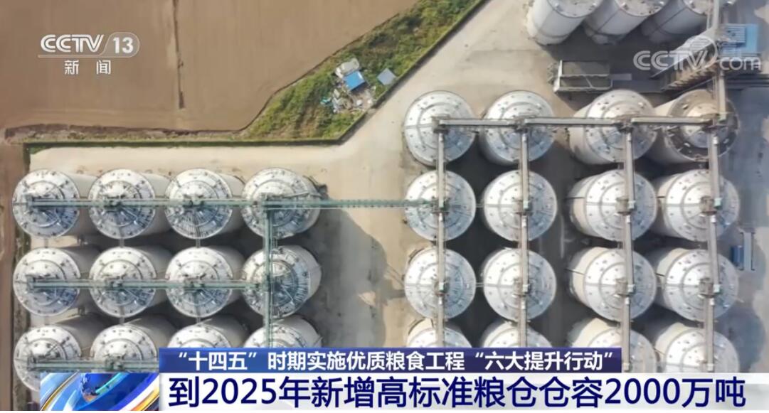 2025年度粮油仓储管理规范详解与最新政策解读