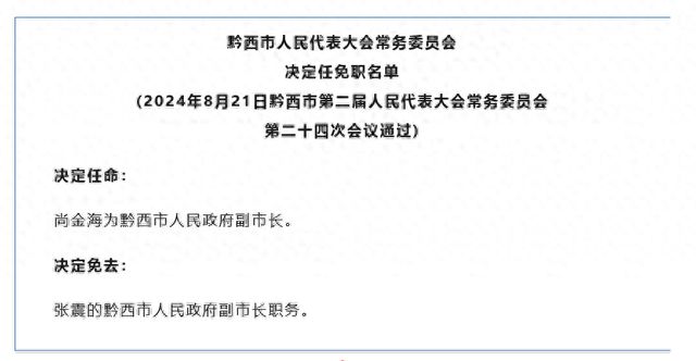 揭秘来宾市新任副市长职责划分：全面梳理最新分工情况