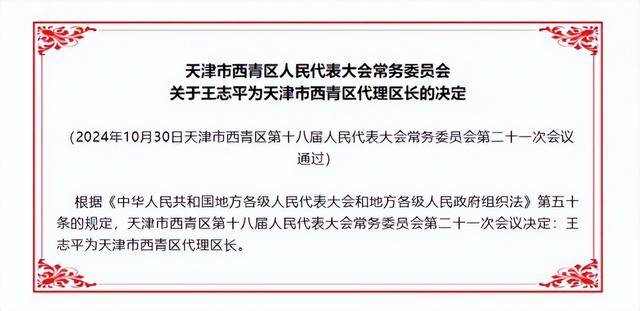 武清区最新人事调整与任免公告揭晓