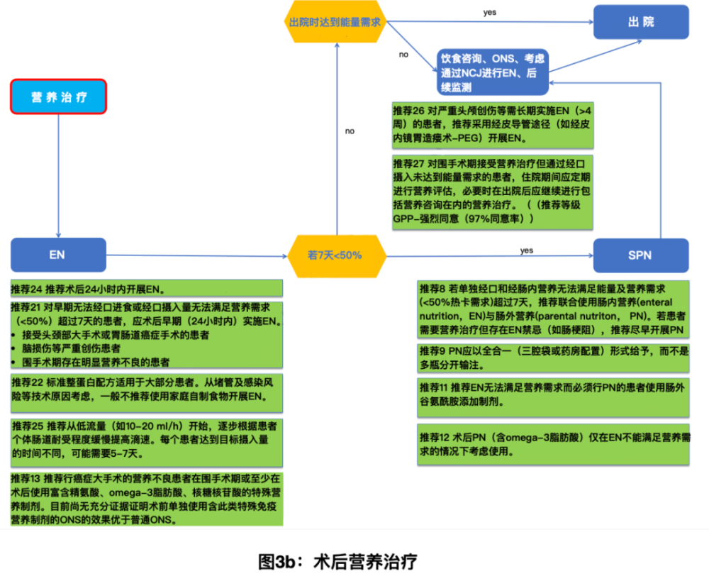 全新升级版：权威发布——肠内营养治疗最新实践指南