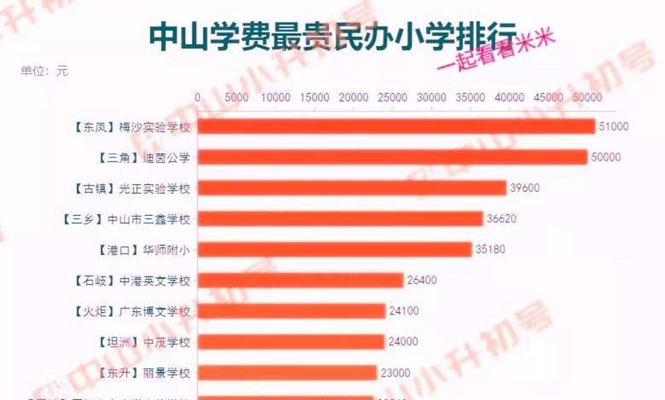 中山市小学教育实力排行榜：最新权威排名揭晓