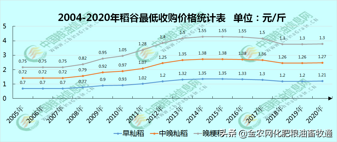 2025年2月6日 第13页