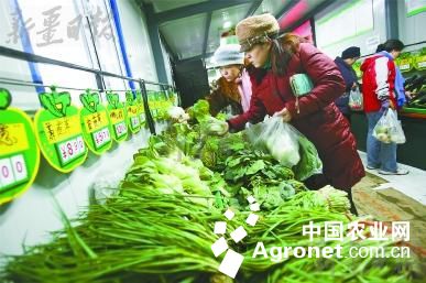 最新蔬菜市场动态：青菜价格实时行情一览